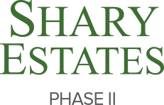 Shary Estates subdivision phase 2, Texas.